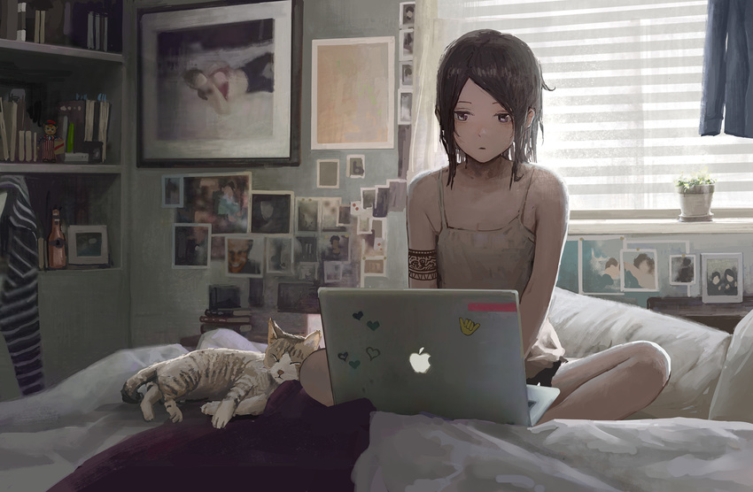 animal aphex_twin bed bedroom black_hair camisole cat commentary_request computer indoors laptop on_bed original partial_commentary photo_(object) plant potted_plant short_hair sitting sticker tattoo tomiya_(tomiya2117) window