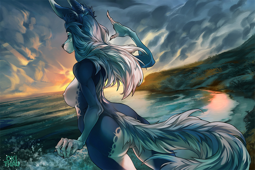 anthro black_nose breasts butt canine claws cloud detailed female grass hair hi_res long_hair mammal nipples nude okithau outside solo standing water