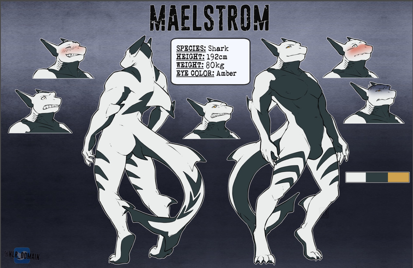 anthro english_text featureless_crotch fish looking_at_viewer male marine model_sheet multiple_images muscular nlr_domain nude shark solo text