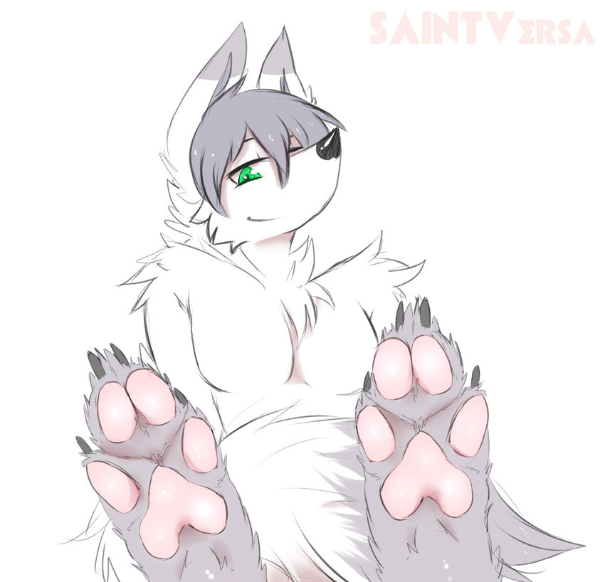 canine feet invalid_background invalid_color mammal paws saintversa