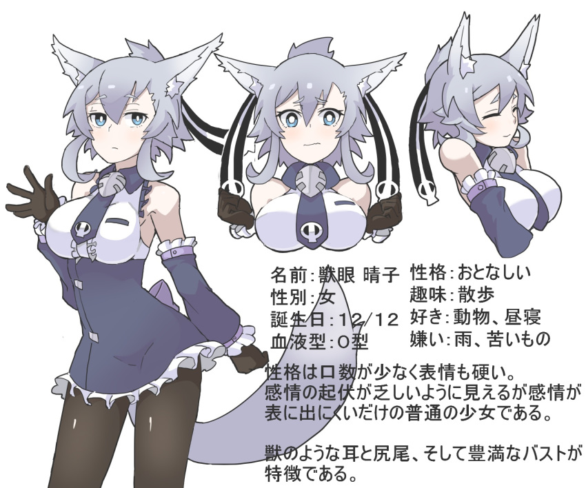 animal_ear_fluff animal_ears aqua_eyes bad_id bad_pixiv_id bare_shoulders between_breasts black_gloves black_legwear blue_dress blue_footwear blush boots breasts character_name character_profile character_sheet closed_eyes closed_mouth commentary_request contrapposto cowboy_shot cropped_torso detached_sleeves dress eyebrows eyebrows_visible_through_hair frilled_dress frilled_sleeves frills frown gloves hair_between_eyes hair_ornament hair_ribbon high_ponytail highres inukaze_yamu looking_at_viewer medium_breasts multiple_views necktie necktie_between_breasts original pantyhose ribbon shishimanako_hareko short_dress short_eyebrows short_hair silver_hair simple_background skull_hair_ornament sleeveless sleeveless_dress standing tail thick_eyebrows tied_hair translation_request white_background