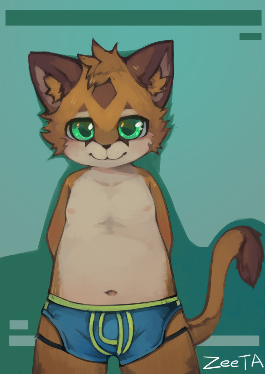anthro boxer_briefs brown_fur bulge cat clothed clothing cub feline fur green_eyes hi_res looking_at_viewer male mammal navel nipples signature slightly_chubby solo topless underwear young zeetar