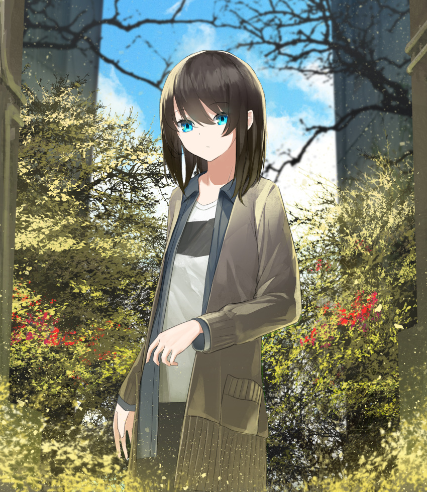 asuteroid blue_eyes blue_sky blurry blurry_background brown_hair bush closed_mouth cloud cloudy_sky commentary_request day depth_of_field eyebrows_visible_through_hair highres jacket long_sleeves looking_at_viewer medium_hair original outdoors shirt sky solo standing white_shirt