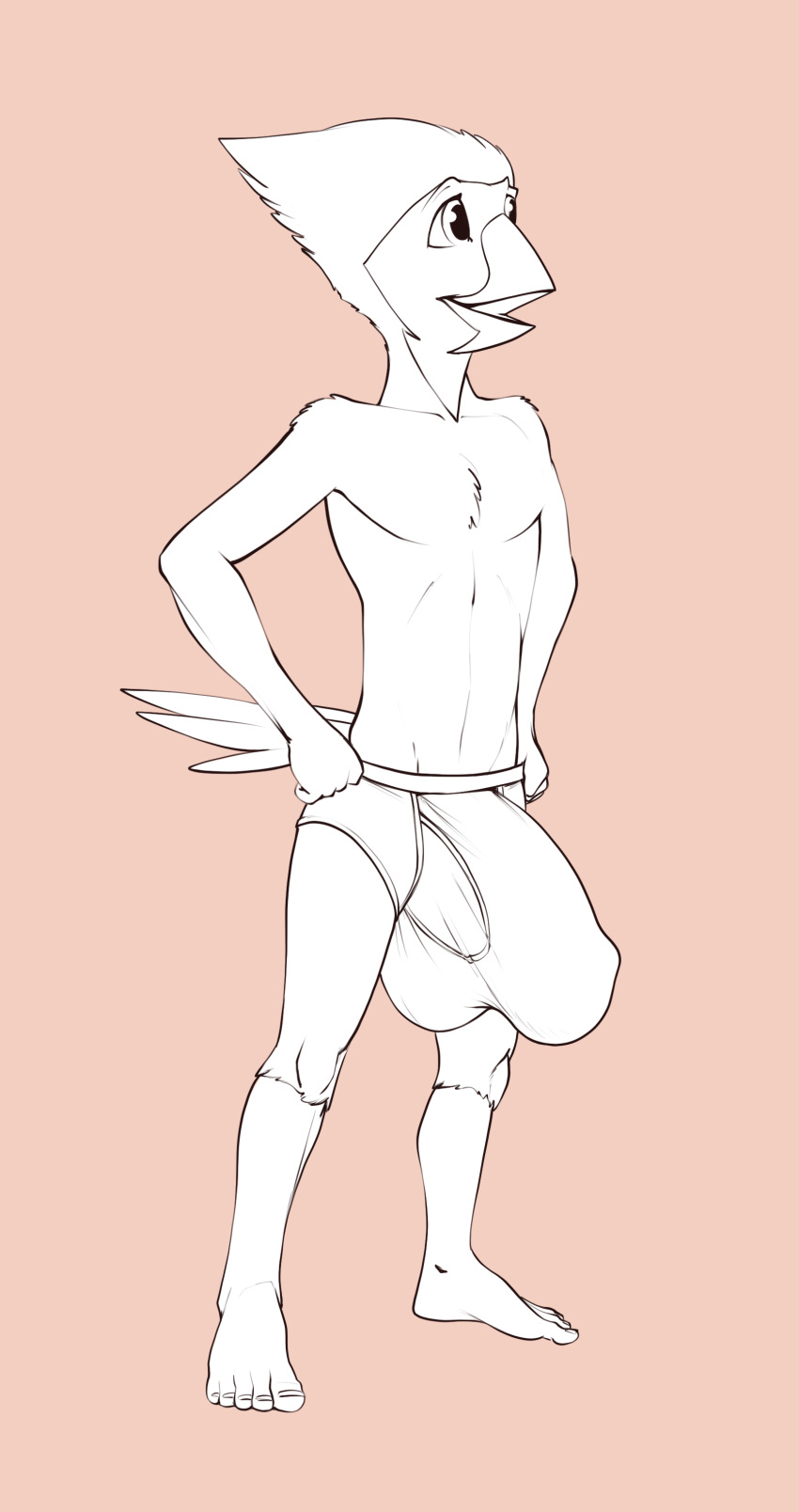 anthro avian bird bulge clothing cub huge_bulge male pulsar pulsar_(character) solo underwear young