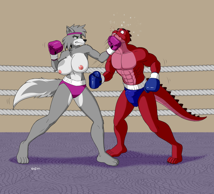 abs anthro areola athletic biceps big_breasts big_bulge black_nose blood blue_eyes boxing boxing_gloves breasts bulge canine chest_tuft clenched_teeth clothed clothing domination drawing-4ever duo eyebrows eyelashes female female_domination fight fighting_ring fur green_eyes grey_fur half-closed_eyes headband inner_ear_fluff interspecies lizard male mammal motion_lines multicolored_fur multicolored_tail muscular muscular_male nipples pain pecs punch red_scales reptile scales scalie shorts signature smile smirk sport surprise teeth topless tuft uppercut wendel2 wolf