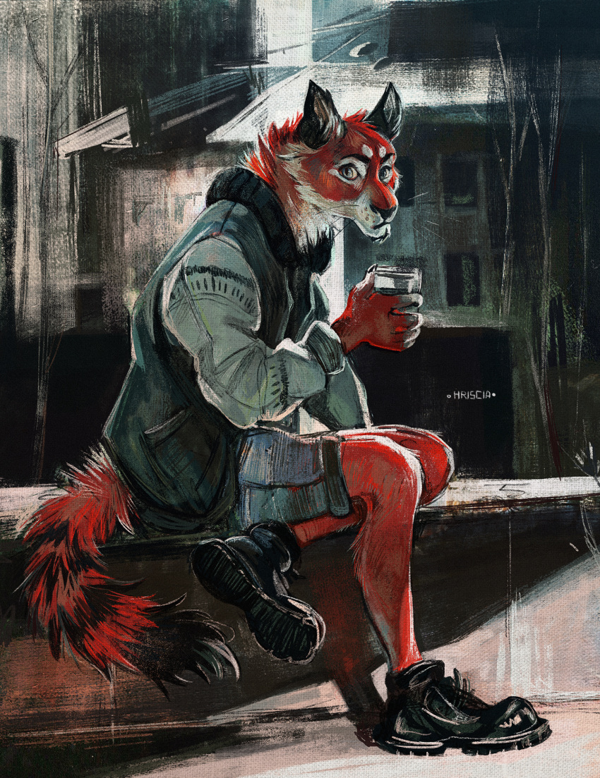 anthro blue_eyes canine class claws clothed clothing detailed_background footwear fox fur hriscia jacket looking_at_viewer male mammal plantigrade red_fox red_fur shoes shorts sitting solo traditional_media_(artwork) whiskers