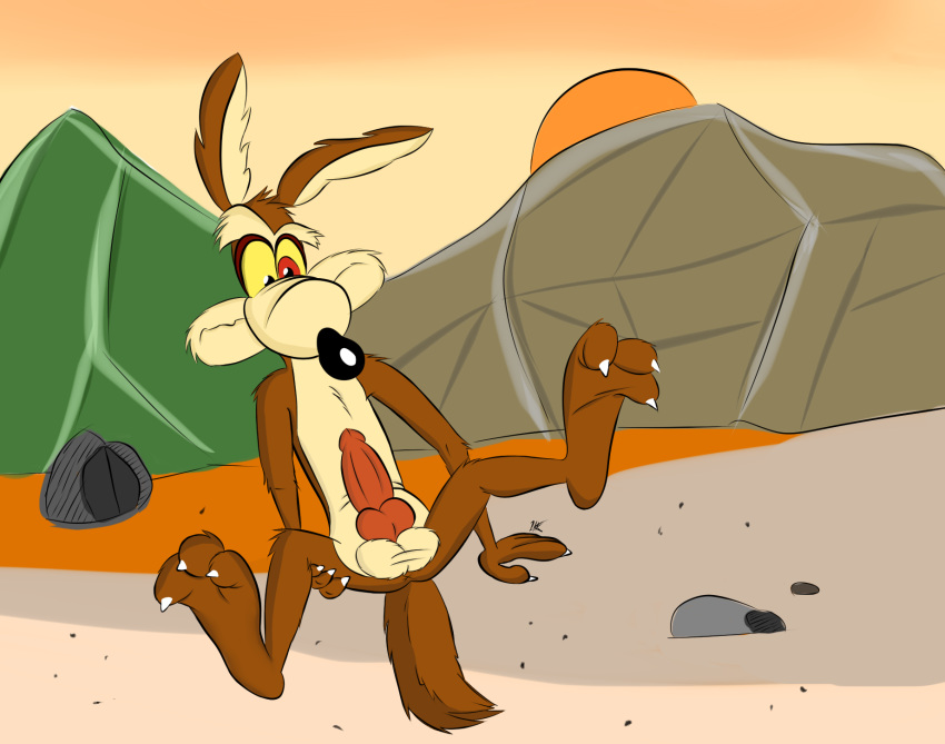 2018 animal_genitalia animal_penis anthro balls black_nose brown_fur canine canine_penis coyote digital_media_(artwork) erection fur knot looney_tunes male mammal nude paws penis prometheusblack solo spread_legs spreading toony warner_brothers wile_e._coyote