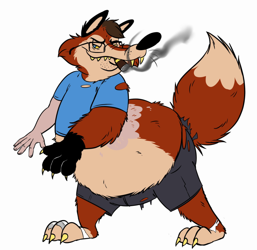 2017 3_toes 4_fingers 5_fingers absurd_res anthro belly blue_topwear brown_hair canine cigar claws clothed clothing digital_drawing_(artwork) digital_media_(artwork) dipstick_tail eyewear fox fur glasses hair hi_res human male mammal multicolored_fur multicolored_tail red_fur shirt simple_background smile smoke smoking solo stripes- tan_fur teeth toe_claws toes torn_clothing transformation white_background