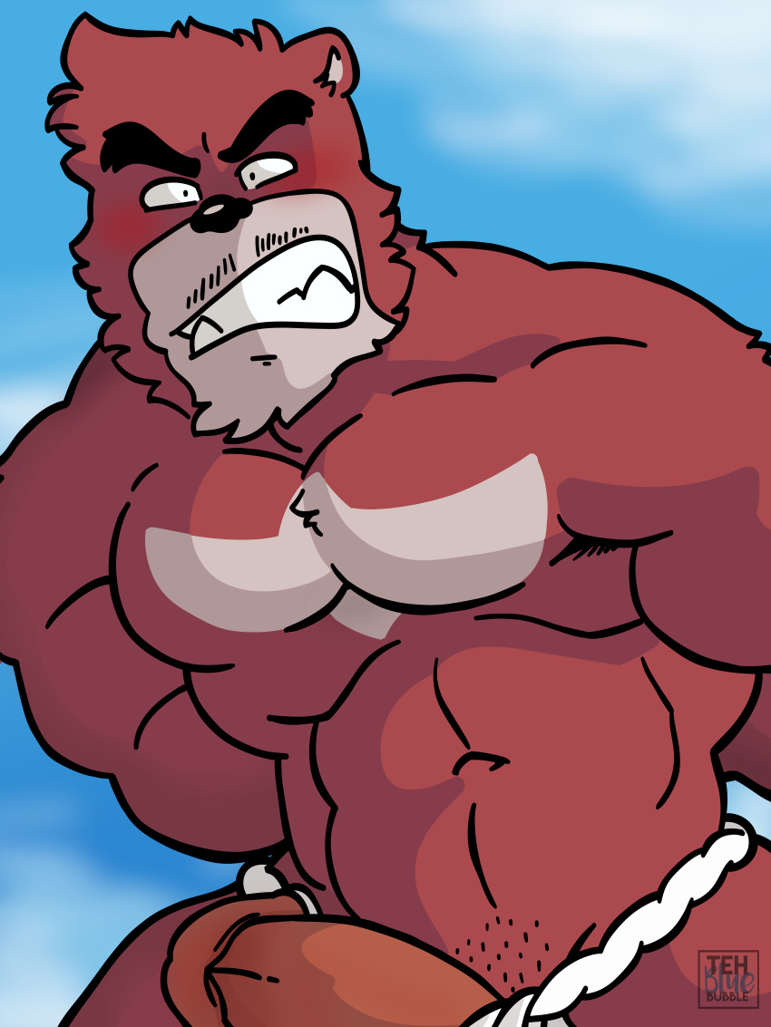 abs angry anthro bear biceps big_eyebrows biped black_eyes black_nose blue_sky blush cel_shading chest_markings circumcised clenched_teeth clothed clothing countershade_face countershading digital_drawing_(artwork) digital_media_(artwork) embarrassed facial_hair front_view frown fundoshi fur fur_tuft glans grey_countershading grey_fur grizzly_bear half-erect head_tuft hi_res huge_muscles humanoid_penis japanese_clothing kumatetsu looking_at_viewer male mammal manly markings multicolored_fur muscular muscular_male mustache navel orange_penis outside pecs penis poking_out red_fur sky solo stubble teeth tehbluebubble the_boy_and_the_beast topless tuft two_tone_fur underwear watermark