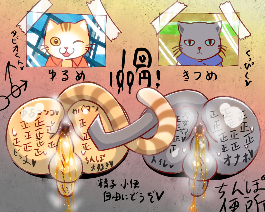 anthro anus balls body_writing cat feline kuehiko_roshihara male mammal penis tapio_chatarozawa text through_wall translation_request urine urine_in_ass watersports working_buddies! wycicus