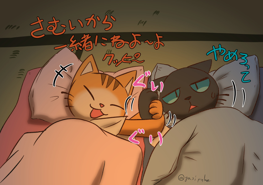 blush cat duo feline japanese_text kuehiko_roshihara male mammal puketto tapio_chatarozawa text translation_request working_buddies!