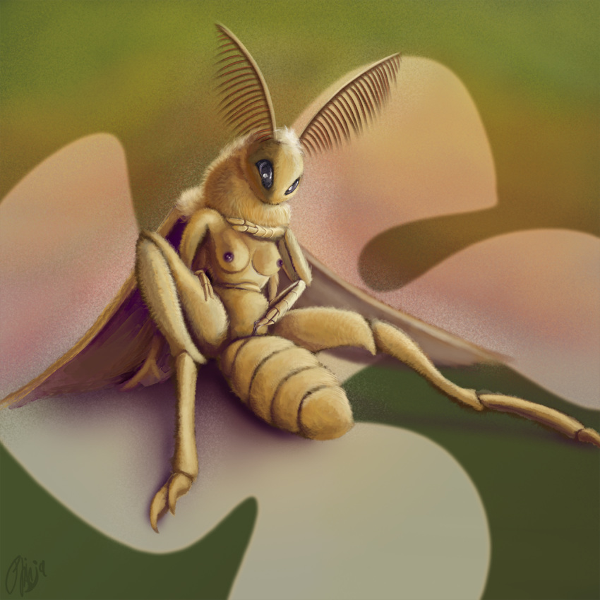 2018 4_arms antennae anthro arthropod breasts claws digital_media_(artwork) female fingering fur insect looking_at_viewer masturbation membranous_wings moth multi_arm multi_limb nipples nude phinja pussy simple_background solo tuft vaginal vaginal_fingering vaginal_masturbation wings yellow_fur