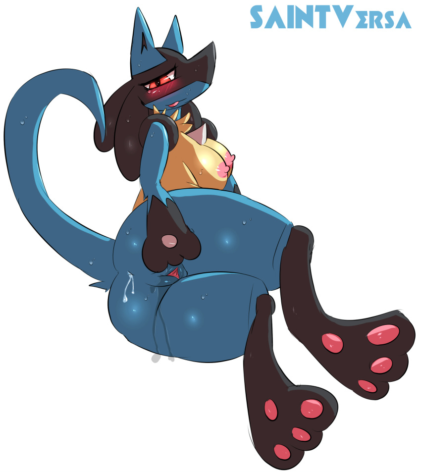 breasts butt cum cum_in_ass cum_inside female lucario nintendo pok&eacute;mon pok&eacute;mon_(species) pussy saintversa spreading video_games