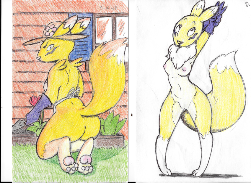 2018 apron breasts building butt canine chest_tuft clothing digimon female flower fur gardening gloves grass hat house kneeling landscaping looking_back mammal nipples outside pawpads plant postdisease presenting presenting_hindquarters pussy raised_tail renamon side_boob simple_background stretching traditional_media_(artwork) trowel tuft white_background window yellow_fur