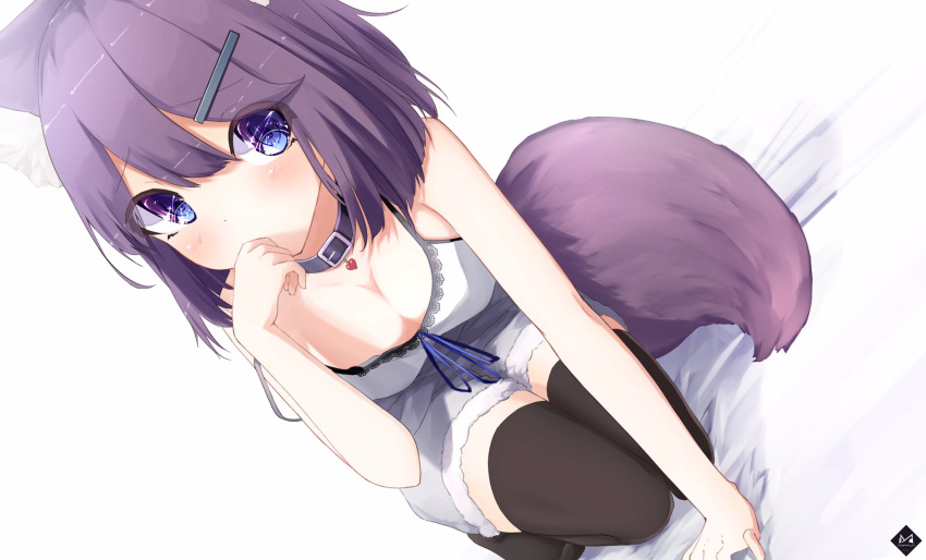 animal_ears arm_support bangs bed_sheet blue_eyes breasts camisole cleavage collar commentary covering_mouth dog_collar eyebrows_visible_through_hair fox_ears fox_tail fur_trim hair_between_eyes hair_ornament hairclip hand_over_own_mouth heart highres kneeling logo looking_at_viewer mayogii medium_breasts no_shoes original purple_hair ribbon short_hair short_shorts shorts solo tail thighhighs watermark white_background