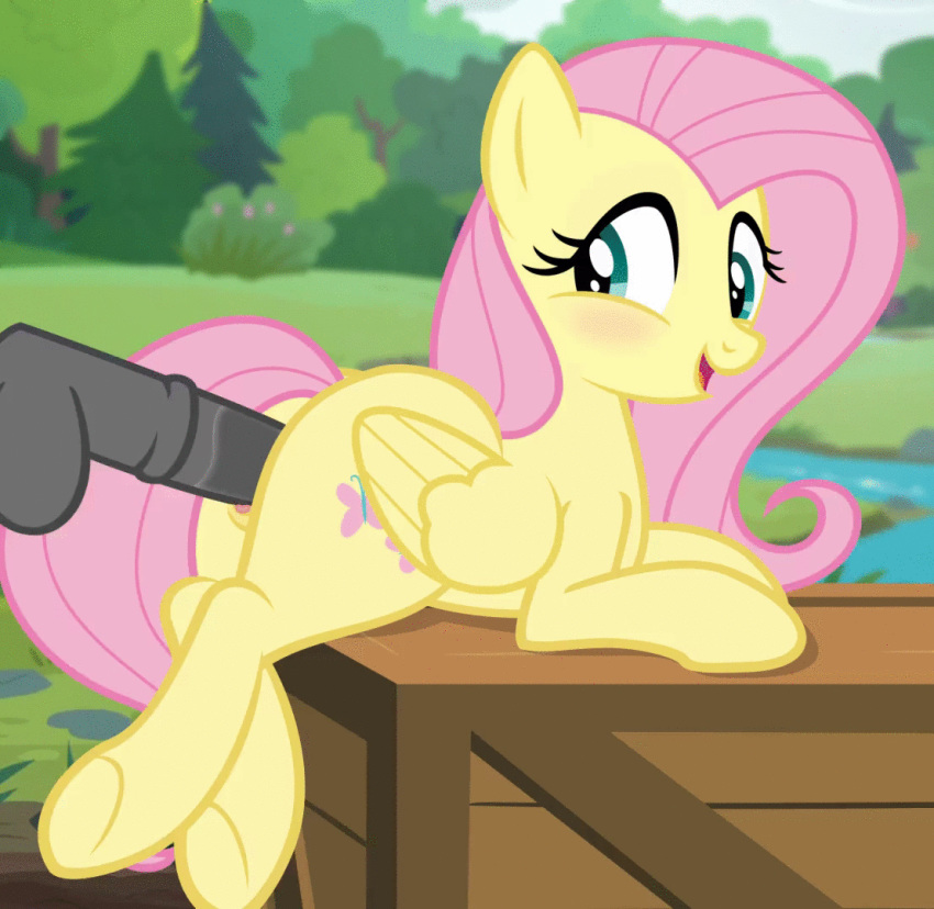 2017 animal_genitalia animal_penis animated balls blush butt cutie_mark disembodied_penis duo equine female feral fluttershy_(mlp) friendship_is_magic hair hooves long_hair male male/female mammal my_little_pony open_mouth outside pegasus penetration penis pink_hair pussy sex smile solo_focus spectre_z vaginal vaginal_penetration wings