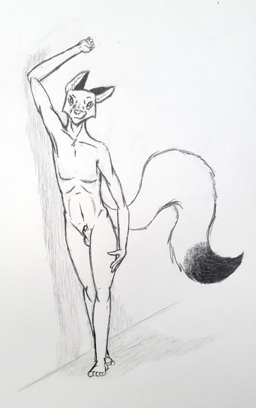 2.doe animal_genitalia animal_penis anthro athletic better_version_at_source canine canine_penis fluffy fluffy_tail fox fully_sheathed looking_at_viewer male mammal nude penis pose raised_eyebrow seductive sheath slim smile solo standing