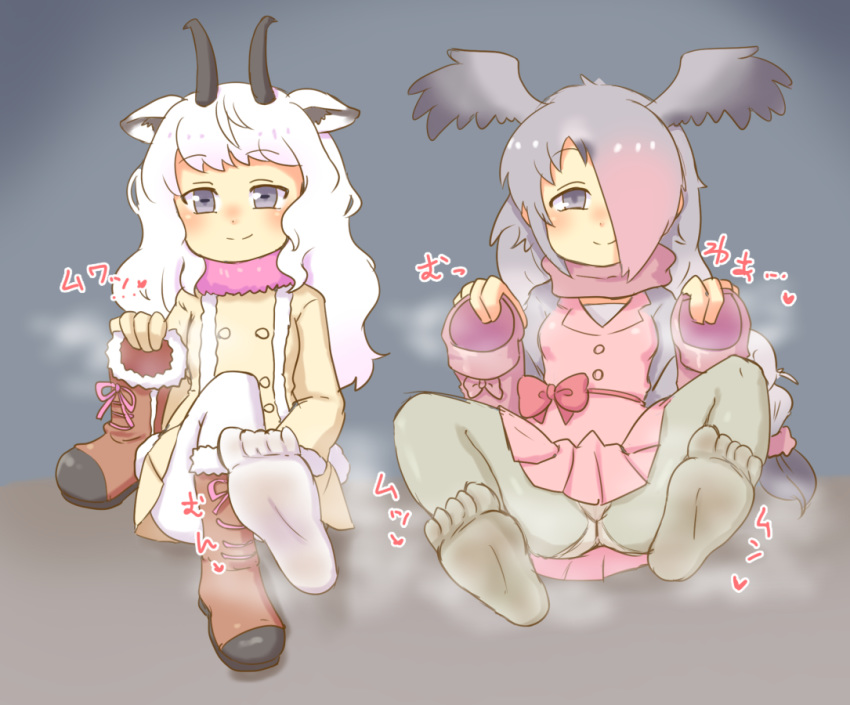 2girls animal_ears bitashinmi blue_eyes boots feet grey_eyes grey_hair hair_over_one_eye holding_shoes horns kemono_friends legwear long_hair looking_at_viewer multiple_girls pantyshot pink-backed_pelican_(kemono_friends) shoes_removed sitting smell smile snow_sheep_(kemono_friends) soles steam two-tone_hair wavy_hair white_hair