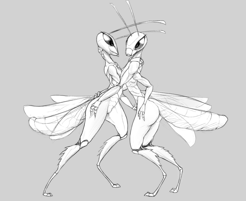 3_fingers 4_arms antennae anthro anthro_on_anthro arthropod butt duo embracing female female/female grasshopper grey_background greyscale hand_on_thigh insect insect_wings monochrome multi_arm multi_limb neck_grab nude pussy semi-anthro side_view simple_background standing w4g4 wings
