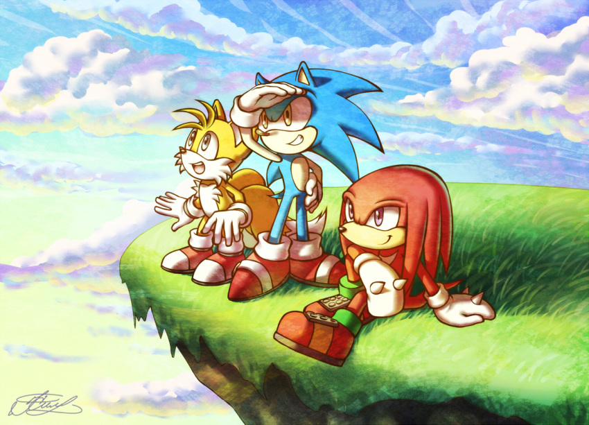 anthro canine clothing cloud echidna fox gloves grass hedgehog hi_res knuckles_the_echidna male mammal miles_prower monotreme signature smile sonic_(series) sonic_the_hedgehog suncelia video_games