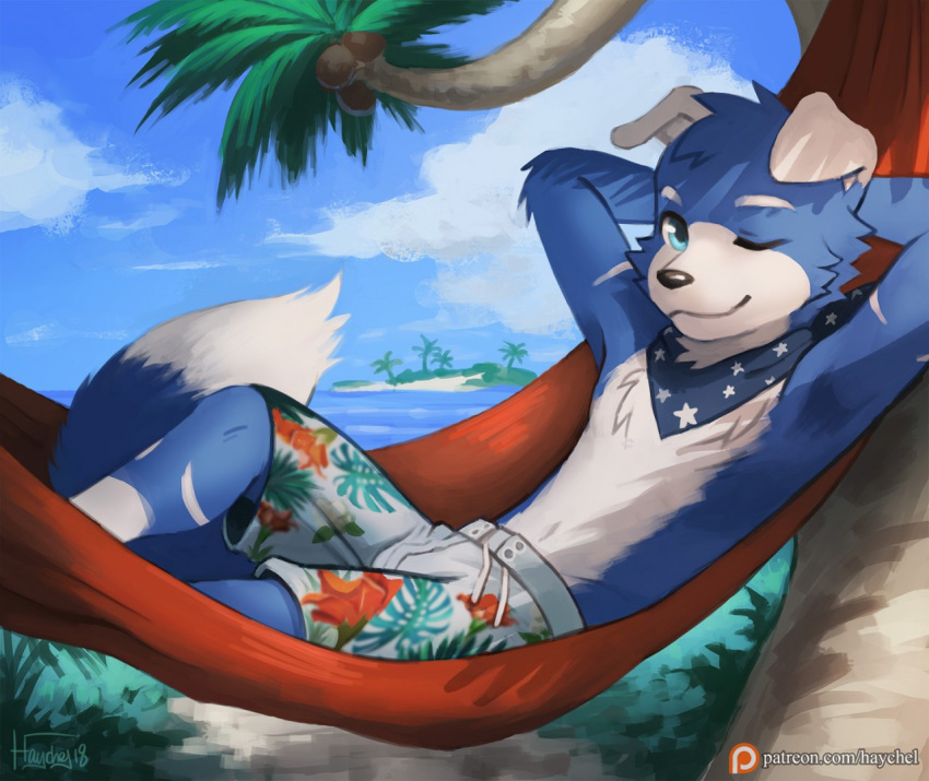 beach blue_eyes blue_fur canine clothing dog fur haychel looking_at_viewer male mammal relaxing seaside solo swimming_trunks swimsuit tropical_island