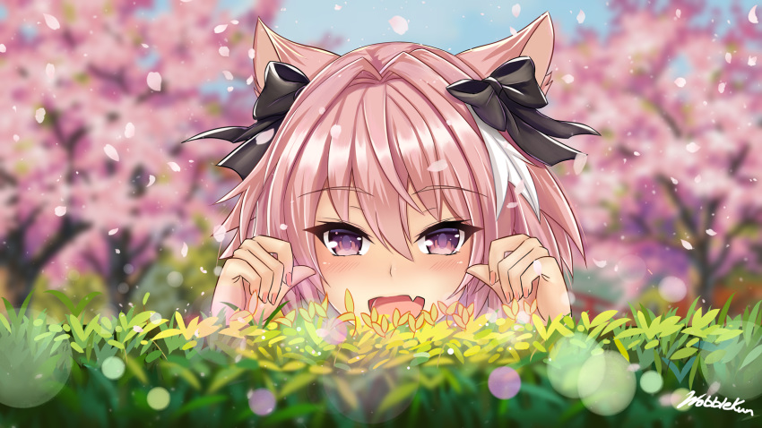 :d animal_ears astolfo_(fate) bangs black_bow blue_sky blurry blurry_background blush bow cat_ears catboy cherry_blossoms commentary commission day depth_of_field derivative_work english_commentary eyebrows_visible_through_hair eyelashes face fang fate/apocrypha fate_(series) fingernails flower grass hair_bow hair_intakes half-closed_eyes hands_up happy highres light_particles long_hair looking_at_viewer male_focus multicolored_hair open_mouth otoko_no_ko outdoors paw_pose petals pink_hair purple_eyes raised_eyebrows shiny shiny_hair signature sky smile solo streaked_hair tree two-tone_hair white_hair wobblekun yellow_flower