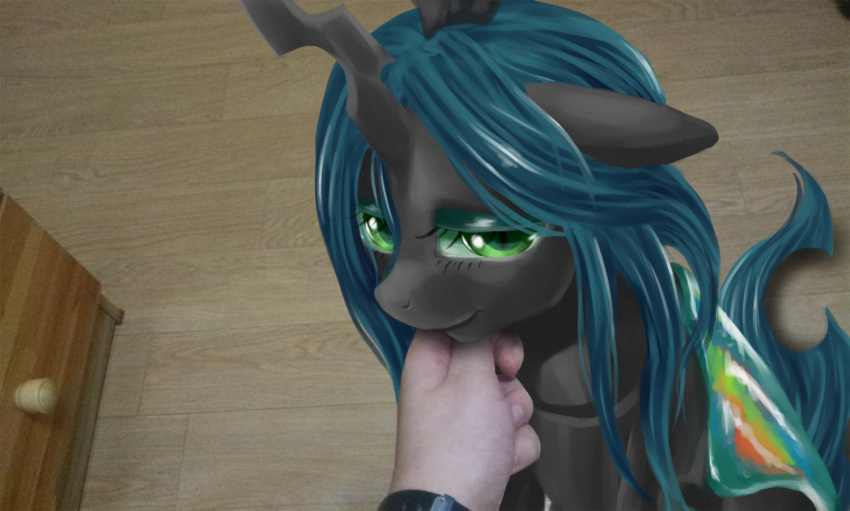 2013 black_fur changeling disembodied_hand duo female feral first_person_view friendship_is_magic fur green_eyes green_hair hair horn human insect_wings mammal mixed_media mrs1989 my_little_pony photo queen_chrysalis_(mlp) real smile solo_focus wings