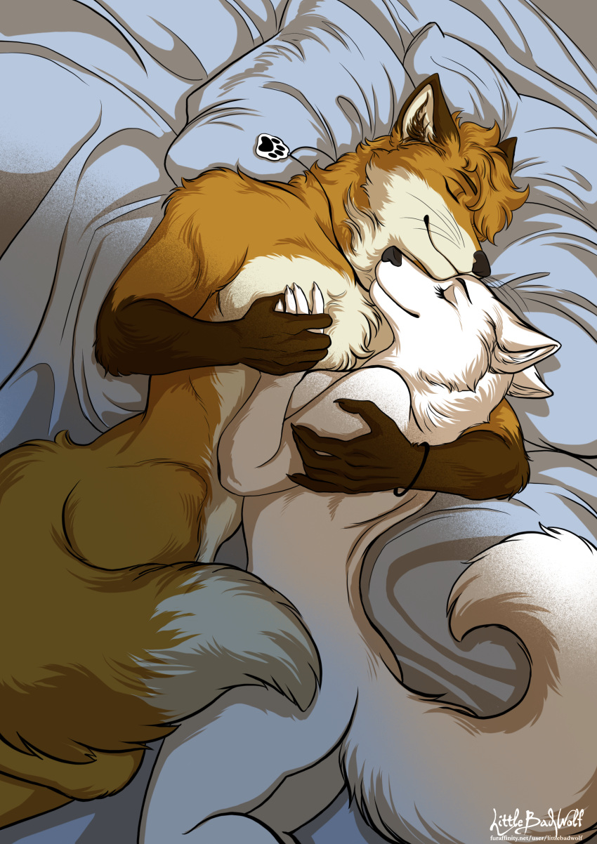 absurd_res anthro arctic_fox armband bed bed_sheet bedding biggoodwolf breasts butt canid canine chest_tuft cuddling curled_hair dipstick_arms dipstick_ears dipstick_tail doppelfoxx duo embrace eyelashes eyes_closed female fox fur furniture hair hand_holding hand_on_back hand_on_chest hand_on_shoulder head_tuft hi_res jakkals_van_der_bergh_(doppelfoxx) jewelry jewlwery laying_together littlebadwolf male male/female mammal markings multicolored_ears necklace nude orange_body orange_fur pillow sandy_fur side_boob signature solo tail tail_covering_crotch tail_markings tasteful_nudity the_twines tuft tyra_bellvue_(doppelfoxx) under_covers whiskers white_body white_fur yellow_body yellow_fur