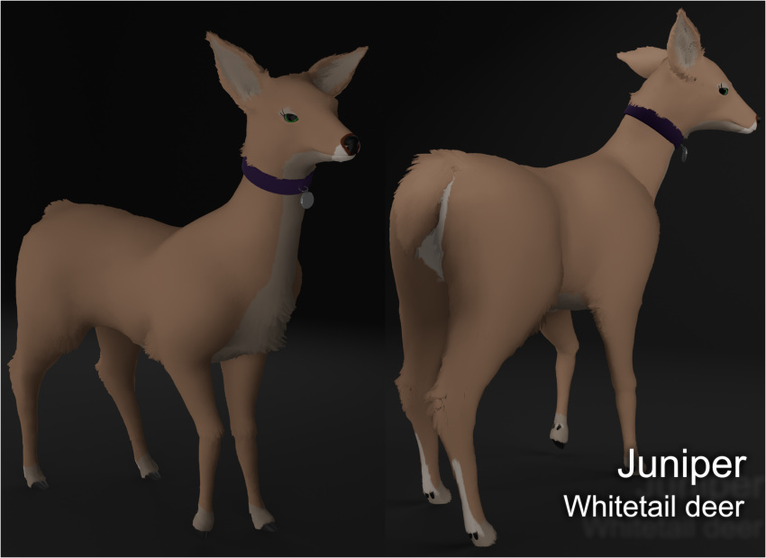 3d_(artwork) big_ears blender_(software) blender_eevee brown_body brown_fur collar collar_only deer digital_media_(artwork) doriyote female feral fur green_eyes hi_res juniper_(laserkitten) looking_at_viewer looking_back mammal new_world_deer nude solo white-tailed_deer