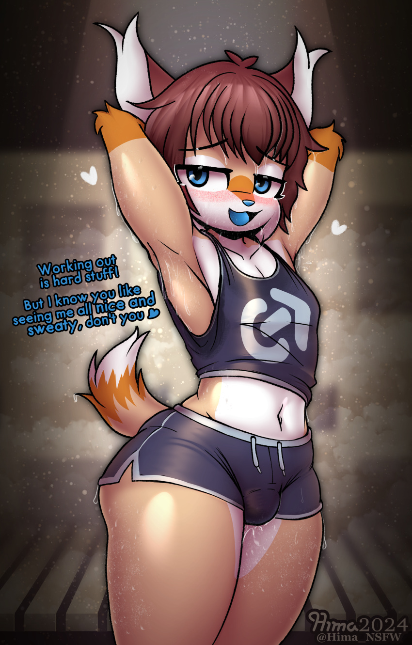 absurd_res ande ande_(hima_nsfw) anthro arms_above_head athletic_wear bedroom_eyes blush bodily_fluids bottomwear brown_hair bulge canid canine clothing dialogue dripping_wet felid feline fox fur glistening glistening_body gym gym_bottomwear gym_shirt gym_shorts gym_topwear hair hi_res hima_nsfw hybrid locker_room lynx male mammal narrowed_eyes orange_body orange_fur seductive shirt shorts smile solo sweat sweaty_armpit sweaty_arms sweaty_legs sweaty_thighs tan_body tan_fur topwear white_body white_fur workout_clothing