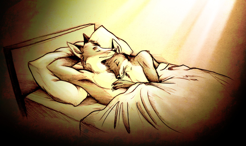 andromorph anthro arctic_fox bed canid canine cross_fox cuddling culpeofox dipstick_arms dipstick_ears doppelfoxx duo eyes_closed fox furniture hand_behind_head hand_on_chest head_on_chest hi_res intersex intersex/male jakkals_van_der_bergh_(doppelfoxx) light light_beam male male/male mammal multicolored_ears nonbinary_(lore) nude pillow red_fox romantic romantic_couple simple_background sleeping sunbeam sunlight tasteful_nudity true_fox under_covers whiskers yaxley_warrick_(doppelfoxx)