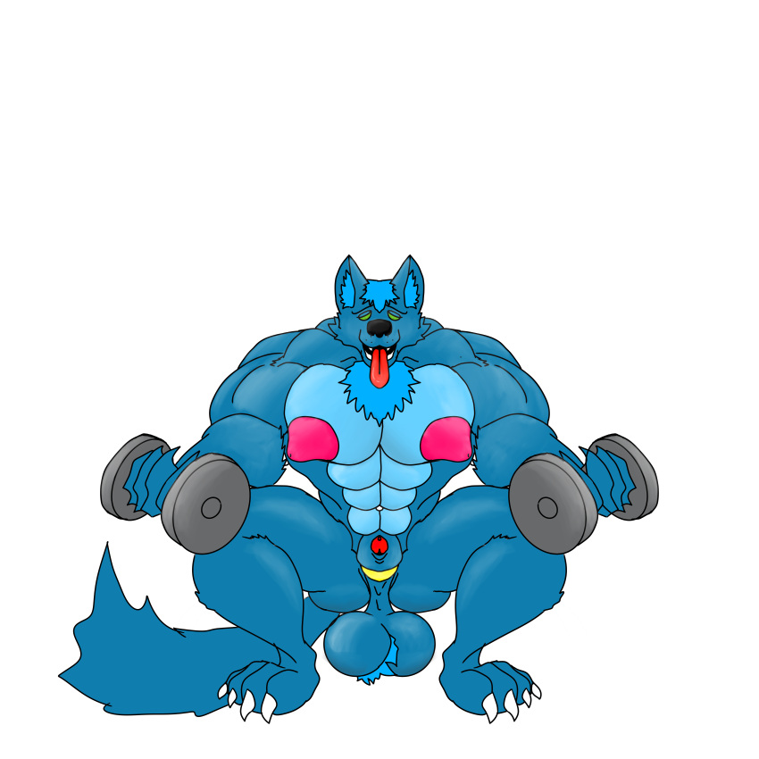 absurd_res accessory animal_genitalia animal_penis anthro balls barazoku big_balls big_nipples blue_body blue_fur body_hair canid canine canine_genitalia canine_penis cock_ring crouching flexing fur furrygaydaddy genitals hairy_balls hi_res huge_balls huge_nipples jewelry low_hanging_balls male mammal muscular muscular_anthro muscular_male mythological_canine mythological_creature mythology nipples penis penis_accessory penis_jewelry solo tongue tongue_out were werecanid werecanine werewolf