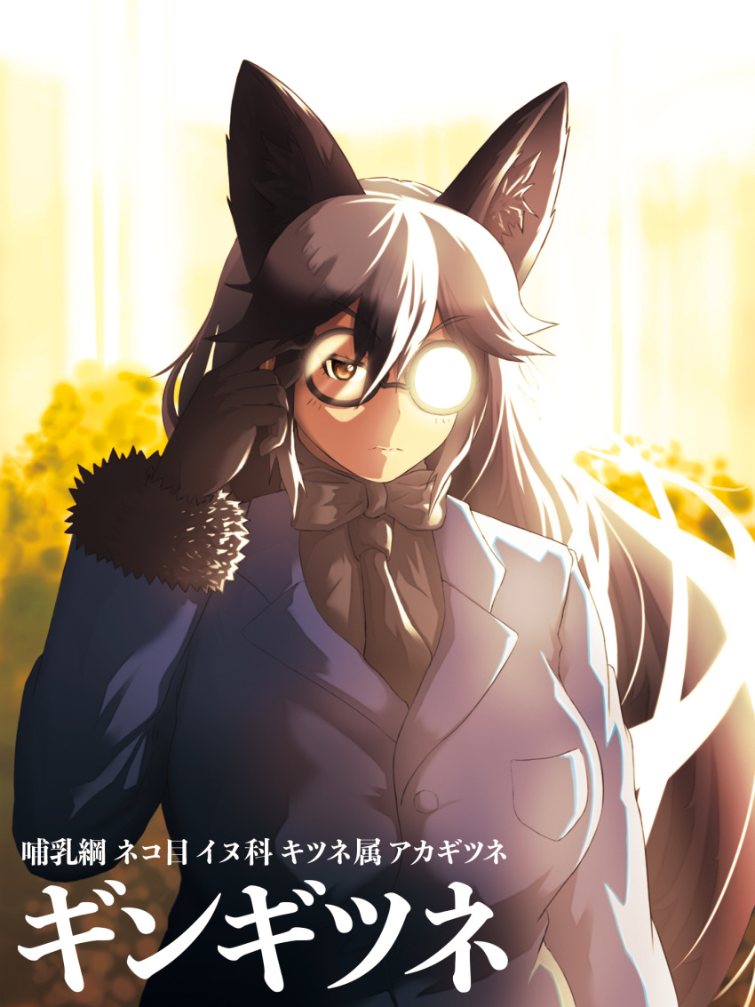 1girl animal_ears bow bowtie extra_ears fox_ears fox_girl fox_tail glasses gloves grey_hair highres jacket kemono_friends long_hair looking_at_viewer necktie outdoors shirt silver_fox_(kemono_friends) solo tail tj_minako translation_request yellow_eyes