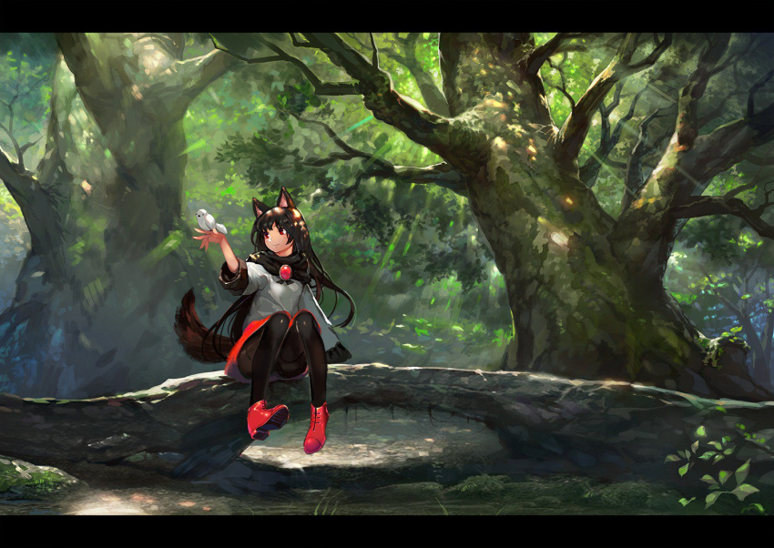 animal animal_ears bangs bird bird_on_hand black_hair black_legwear black_scarf brooch check_commentary closed_mouth commentary_request dappled_sunlight day foot_dangle forest green hand_up imaizumi_kagerou jewelry knees_together_feet_apart letterboxed light_rays long_hair looking_at_another miniskirt nature onion_(onion_and_pi-natto) outdoors pantyhose red_eyes red_footwear red_skirt scarf shoes sitting skirt smile solo summer sunbeam sunlight tail thighband_pantyhose touhou tree wolf_ears wolf_tail