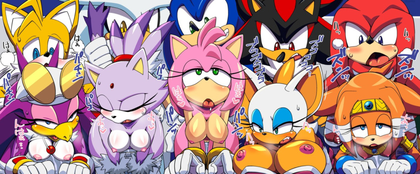 amy_rose avian bat big_breasts big_butt bird blaze_the_cat breasts butt canine echidna female fox hedgehog huge_breasts japanese_text knuckles_the_echidna male male/female mammal miles_prower monotreme nipples rouge_the_bat shadow_the_hedgehog silver_the_hedgehog small_breasts sonic_(series) sonic_riders sonic_the_hedgehog text tikal_the_echidna unknown_artist wave_the_swallow wide_hips