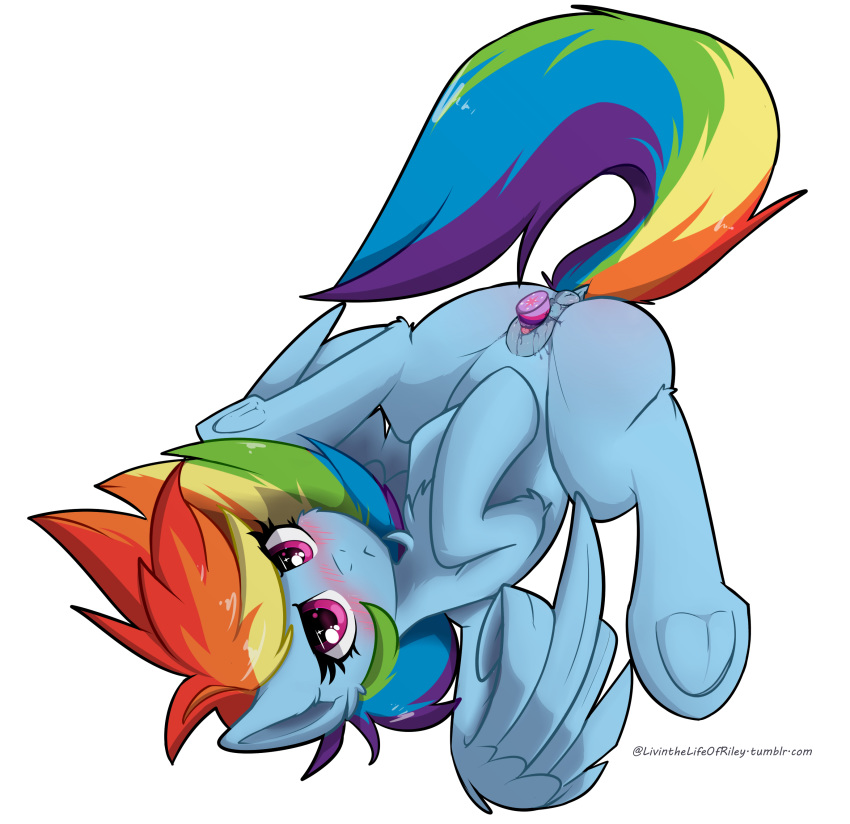 2018 absurd_res alpha_channel animal_genitalia animal_pussy digital_media_(artwork) equine equine_pussy feathered_wings feathers female feral friendship_is_magic fur hair hi_res hooves livinthelife0friley mammal multicolored_hair my_little_pony pegasus penetration pussy rainbow_dash_(mlp) rainbow_hair simple_background solo spread_legs spreading transparent_background underhoof vaginal vaginal_penetration wings