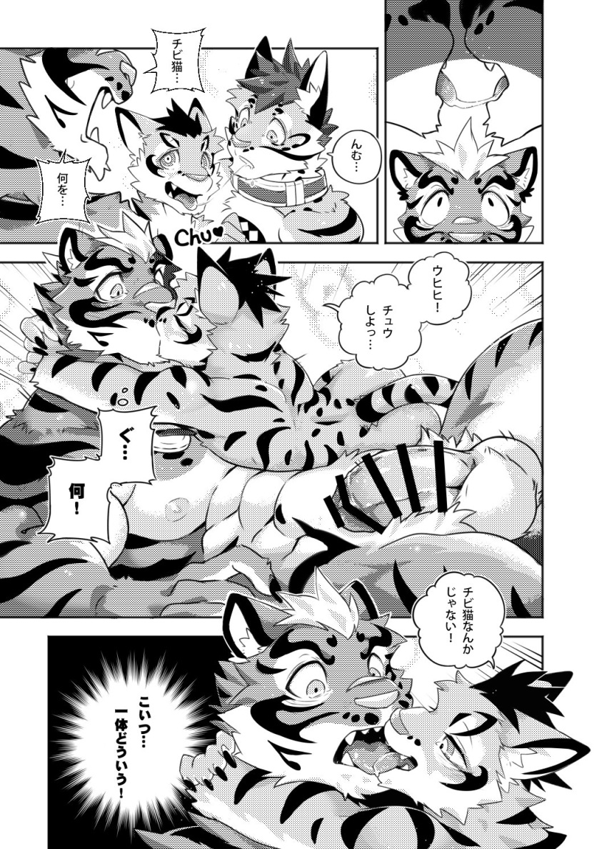 2018 anthro balls cat censored comic erection feline japanese_text kissing kumak71395 leopard likulau lin_hu male mammal nekojishi nude penis shu-chi text tiger translation_request