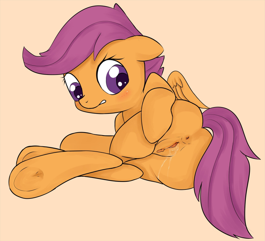 2013 anus blush butt cub equine feathered_wings feathers female feral friendship_is_magic hair mammal my_little_pony orange_feathers pegasus purple_eyes purple_hair pussy pussy_juice scootaloo_(mlp) solo wings young zokkili