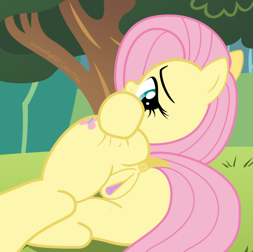 2015 anus butt butt_grab clitoris cutie_mark equine female feral fluttershy_(mlp) friendship_is_magic hair hand_on_butt hi_res horse looking_back mammal my_little_pony outside pink_hair pony presenting presenting_hindquarters pussy reading shutterflyeqd solo