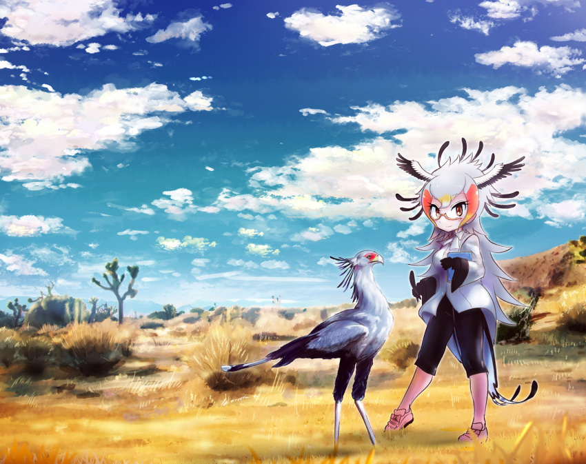 bird blonde_hair book cloud day feathered_wings feathers fuji_takanasu glasses gloves grass grey_hair kemono_friends long_hair multicolored_hair red_eyes red_hair secretarybird_(kemono_friends) sky solo white_hair wings