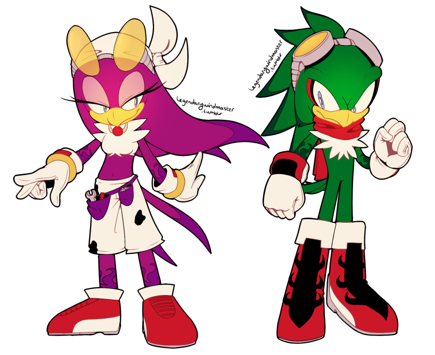 anthro avian bird clothing duo english_text female gloves hi_res jet_the_hawk legendarywindmaster male signature sonic_(series) sonic_riders text video_games wave_the_swallow