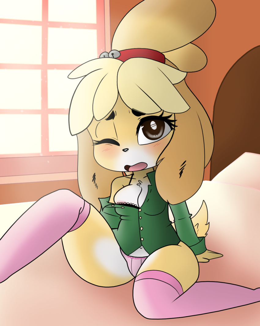 2018 animal_crossing anthro areola bed black_nose blonde_hair blush bra breasts brown_eyes canine clothed clothing clothing_malfunction digital_media_(artwork) dog eyelashes female fur hair hair_ornament hearlesssoul hi_res isabelle_(animal_crossing) legwear looking_at_viewer mammal multicolored_fur navel nintendo on_bed one_eye_closed open_mouth panties pillow shirt short_stack sitting solo stockings teeth tongue two_tone_fur underwear video_games white_fur window yellow_fur