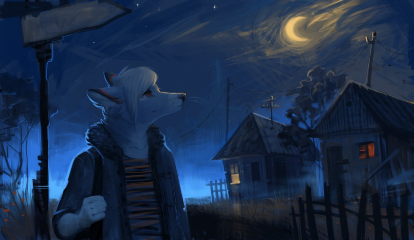 anthro backpack building canine clothed clothing fox fur hair house keumano male mammal moon night outside solo standing whiskers