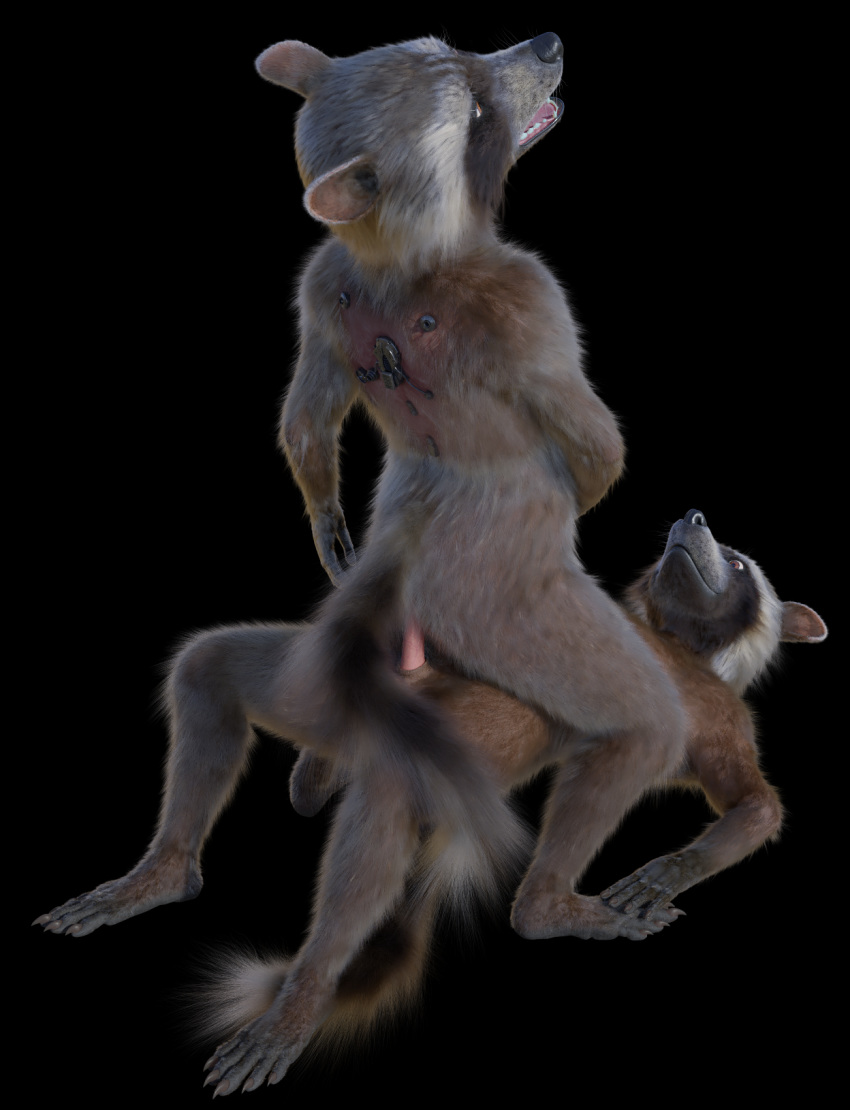 3d_(artwork) anthro clone digital_media_(artwork) disney duo fur genitals guardians_of_the_galaxy hi_res male male/male mammal marvel nude penis procyonid rocket_raccoon rockyrcoon