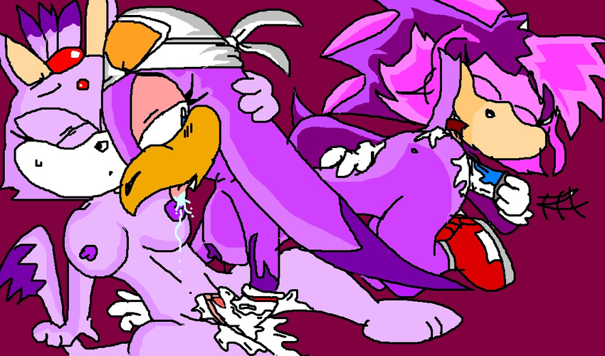 blaze_the_cat perverted_bunny sonic_riders sonic_team wave_the_swallow