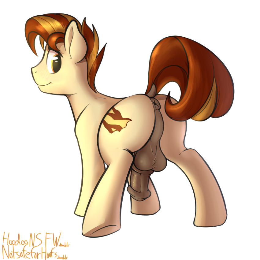 2014 alpha_channel animal_genitalia animal_penis anus backsack balls blush butt earth_pony equine equine_penis erection fan_character feral hi_res horse male mammal my_little_pony notsafeforhoofs penis perineum pony simple_background solo transparent_background