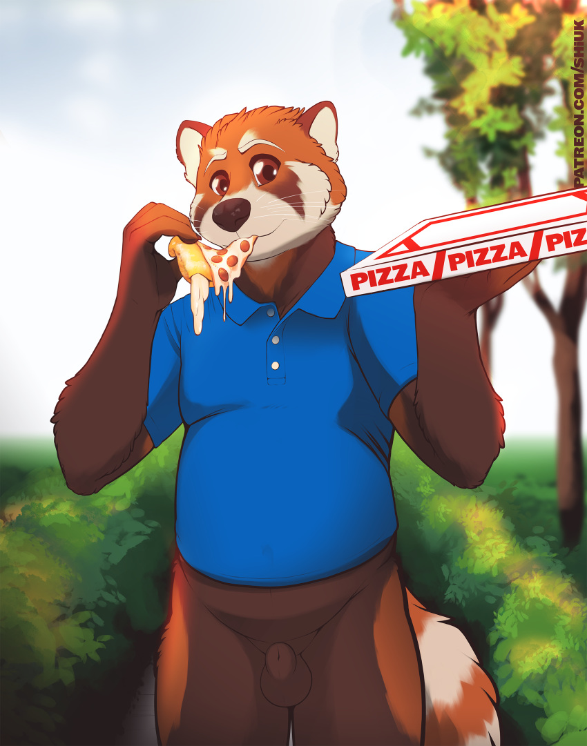 animal_genitalia anthro balls bottomless brown_eyes brown_fur cheese clothed clothing food fur looking_at_viewer male mammal orange_fur outside pizza public red_panda sheath shirt shiuk slightly_chubby solo t-shirt whiskers white_fur