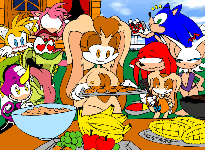 amy_rose cream_the_rabbit espio_the_chameleon knuckles_the_echidna praiz rouge_the_bat sonic_team sonic_the_hedgehog tails vanilla_the_rabbit vector_the_crocodile