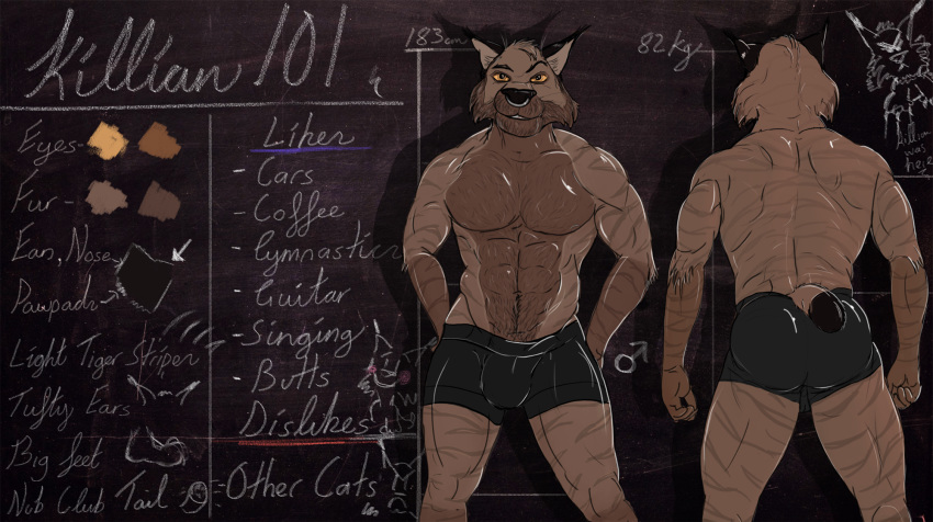 2018 abs anthro beard black_nose brown_fur brown_hair brown_skin bulge clothed clothing english_text facial_hair facial_piercing feline fur gloves_(marking) hair hand_on_butt killian killianwalker looking_at_viewer lynx male mammal markings model_sheet multicolored_fur muscular muscular_male nose_piercing nose_ring orange_eyes piercing short_tail smile solo standing stripes text tight_underwear topless two_tone_fur underwear