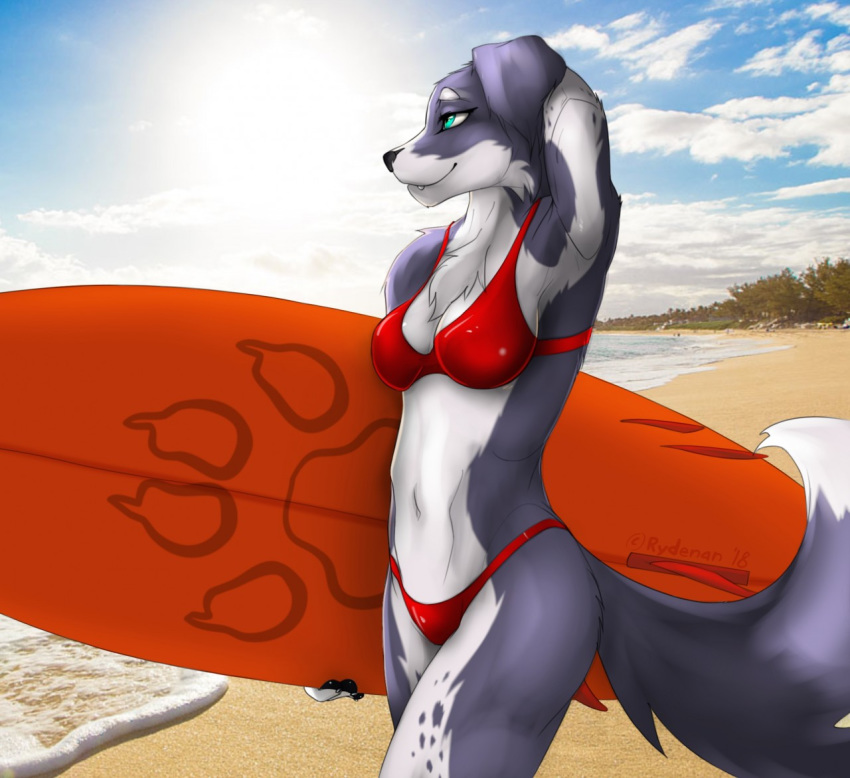 2018 anthro beach bikini blue_eyes border_collie breasts canine clothing cloud collie dog female grin mammal outside rydenan sand sea seaside sky smile solo spots sun surf surfboard surfing swimsuit water